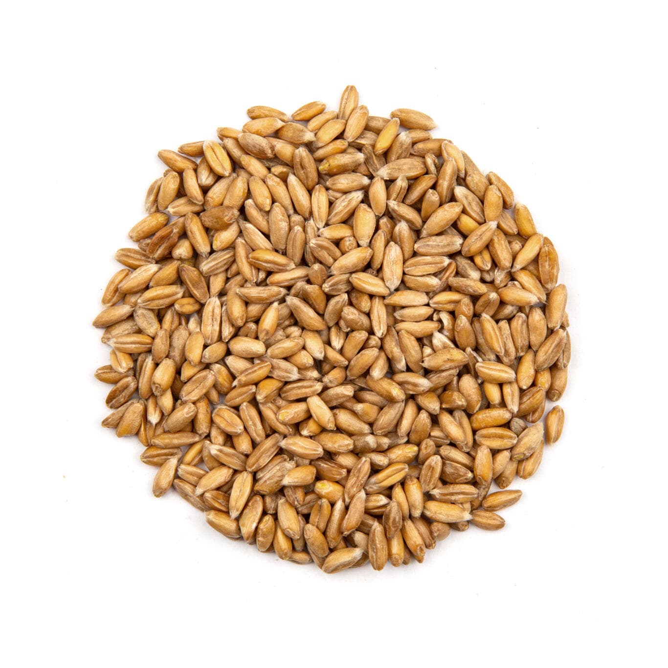 Spelt