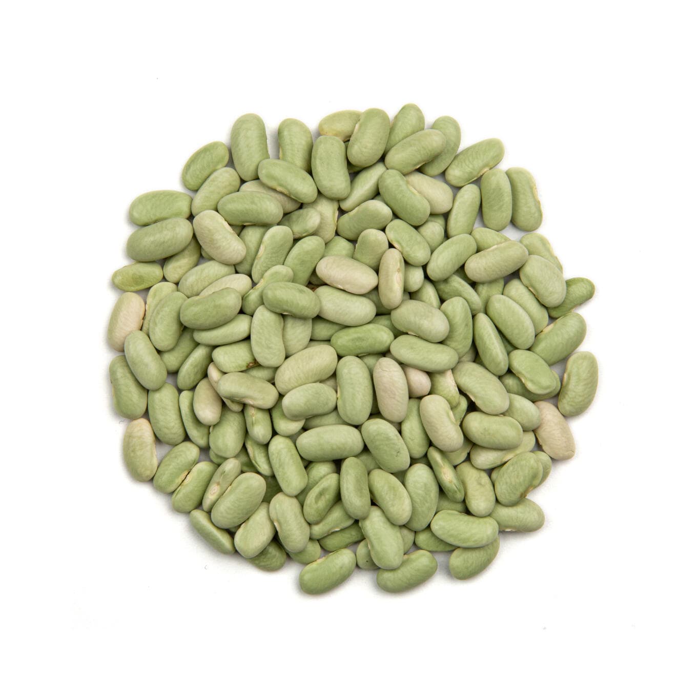 Green Beans Typ Flageolets