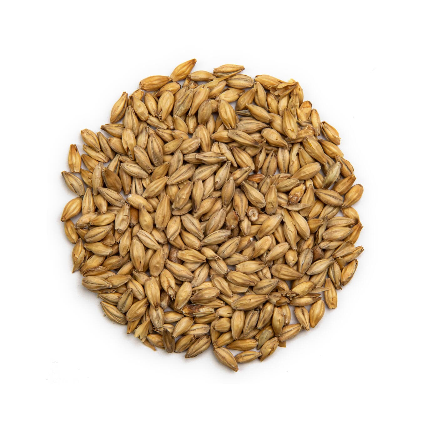 Barley malt