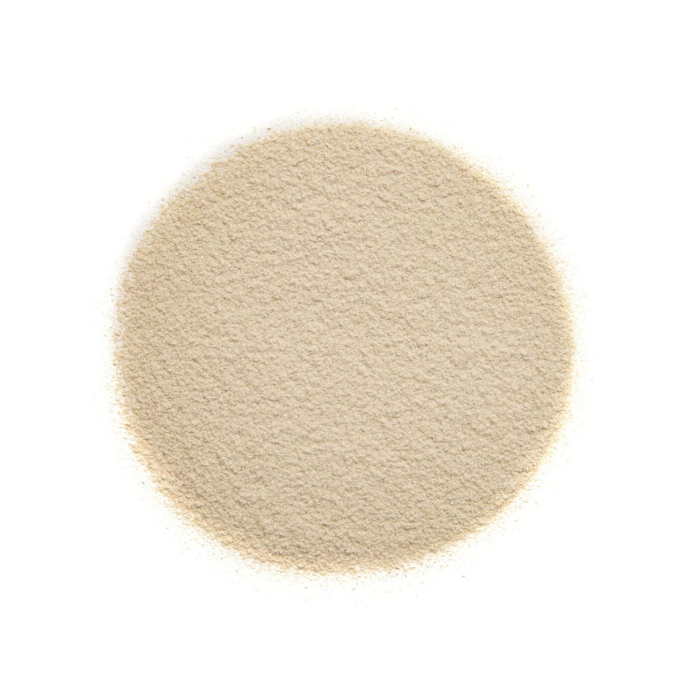 Sunflower Protein