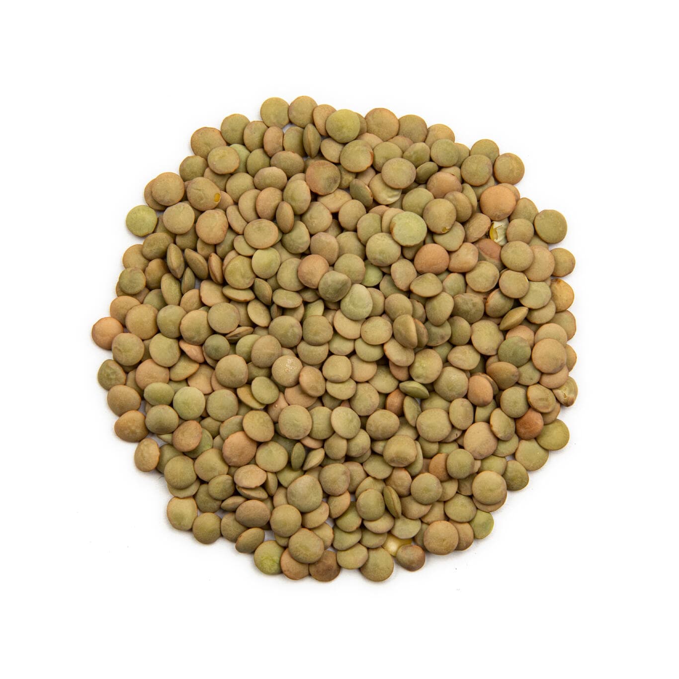 Lentils Richlea
