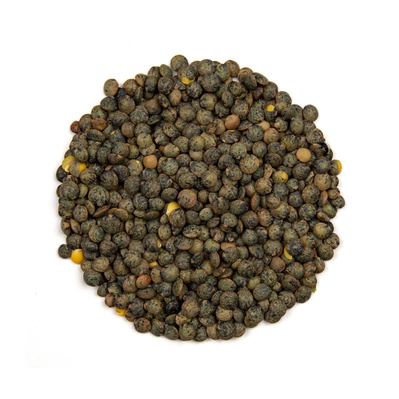 Lentils green Type Du Puy