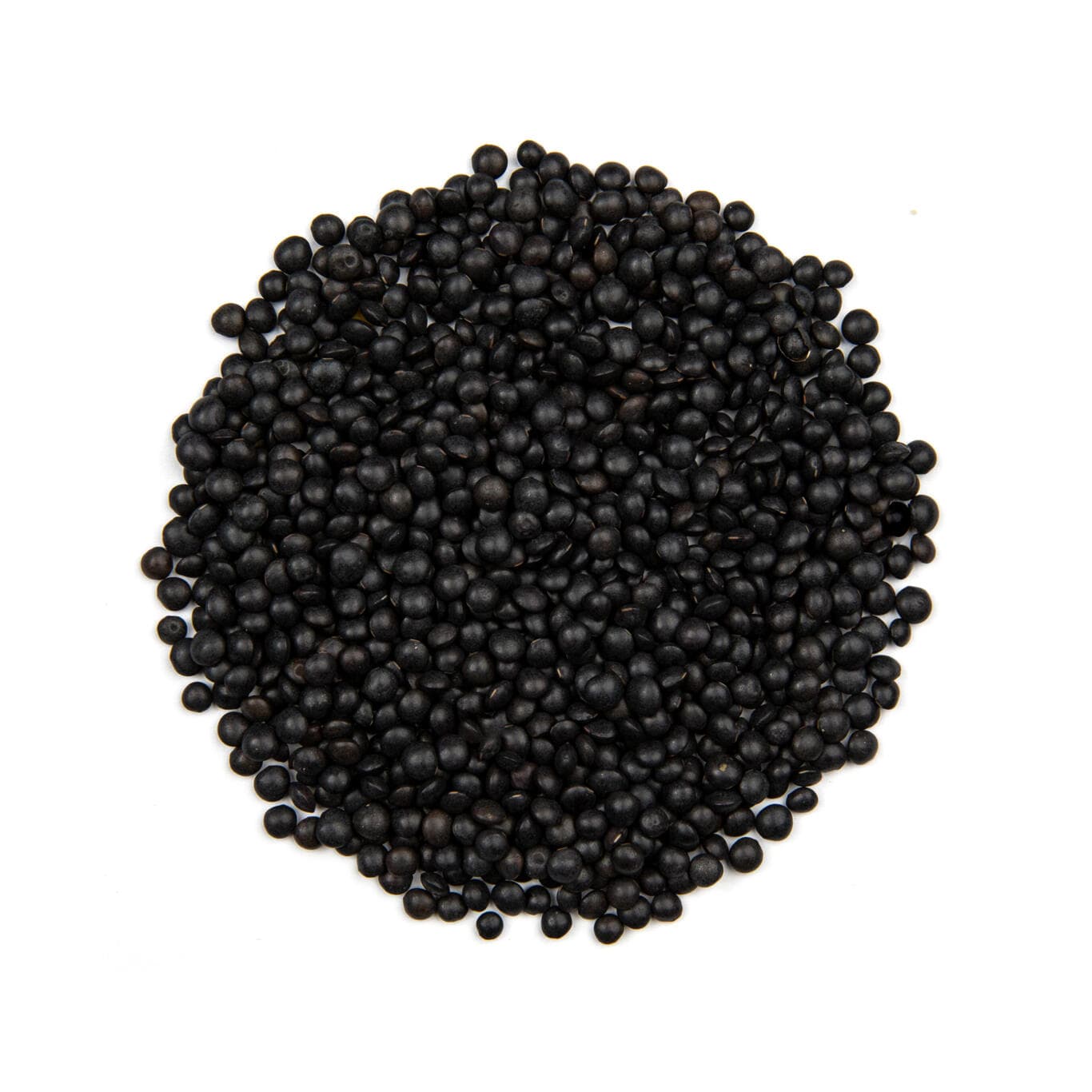 Beluga lentils black