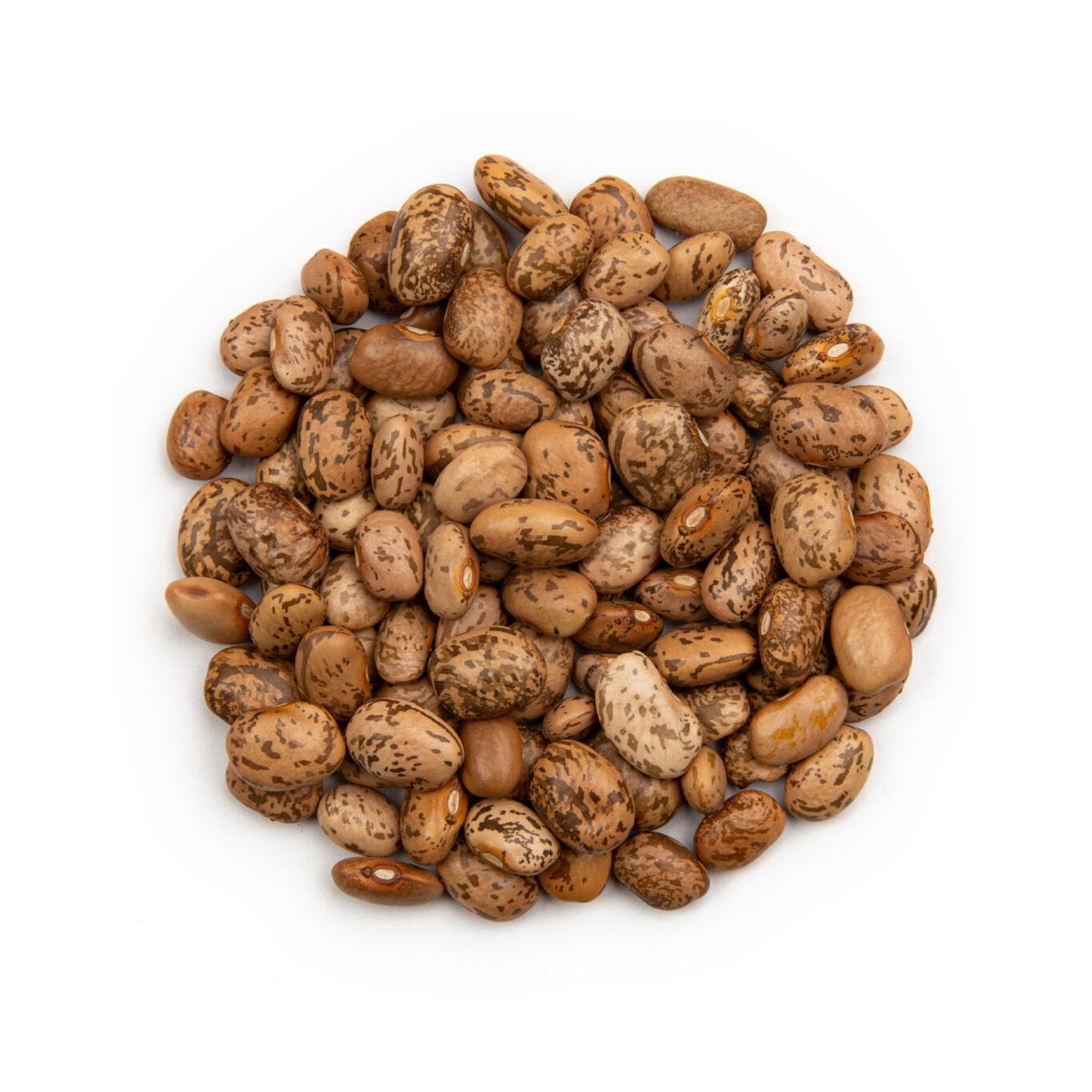 Pinto Beans
