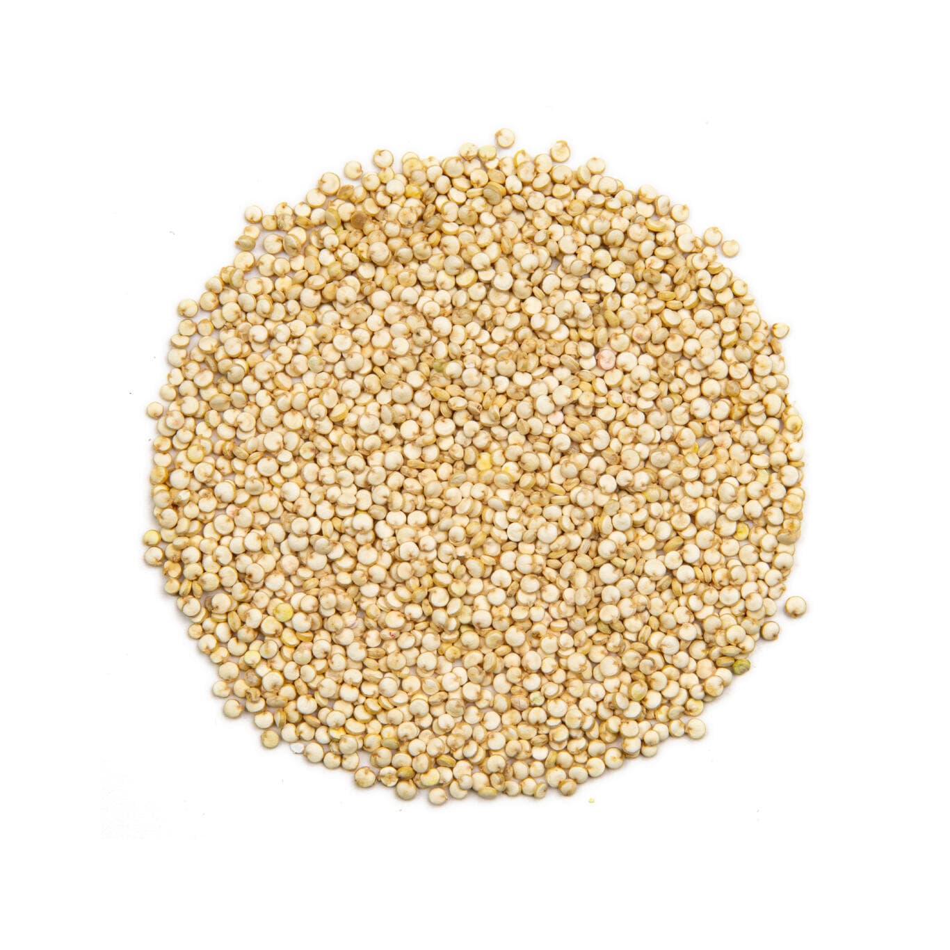 Quinoa white