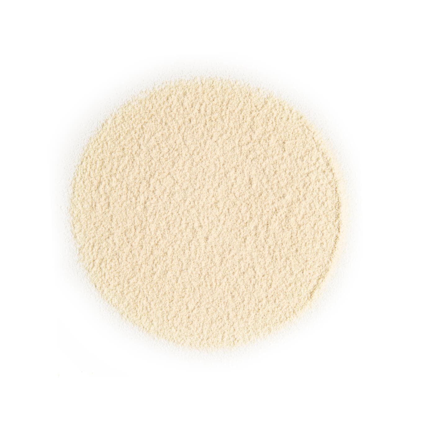 Rice Protein White