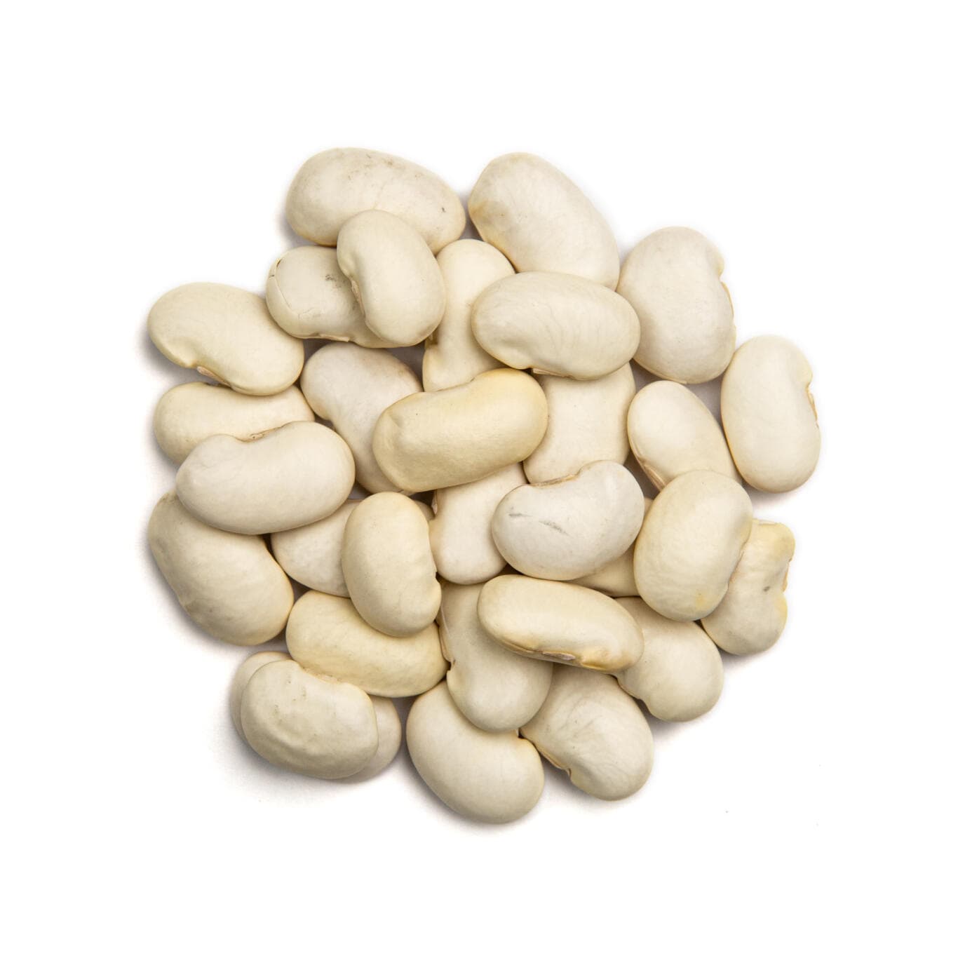 White Beans Jumbo