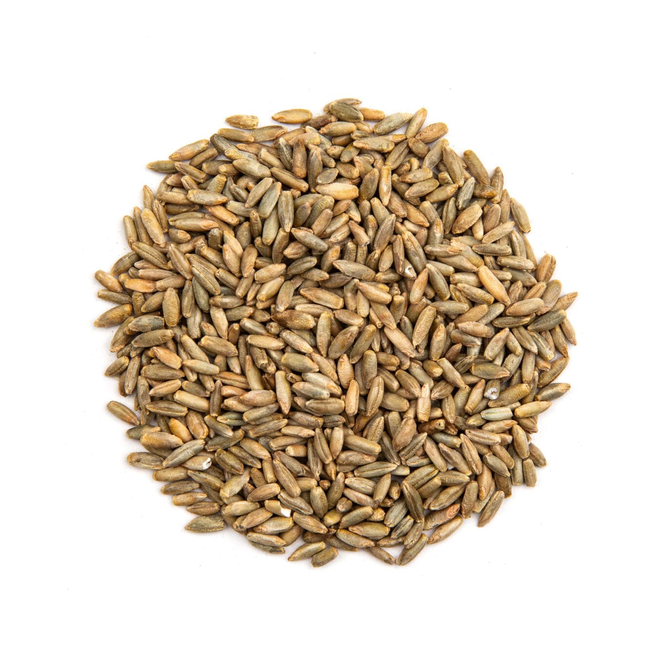 Rye