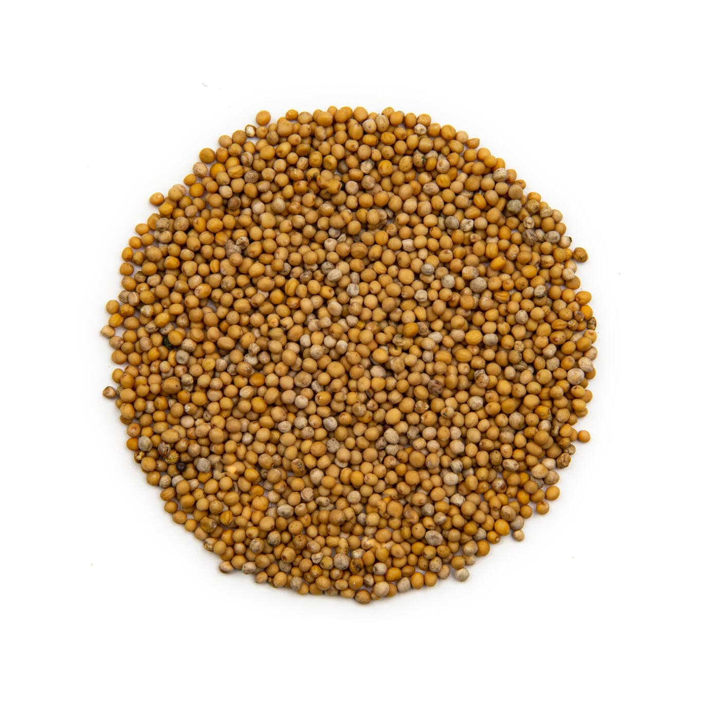Mustard seeds