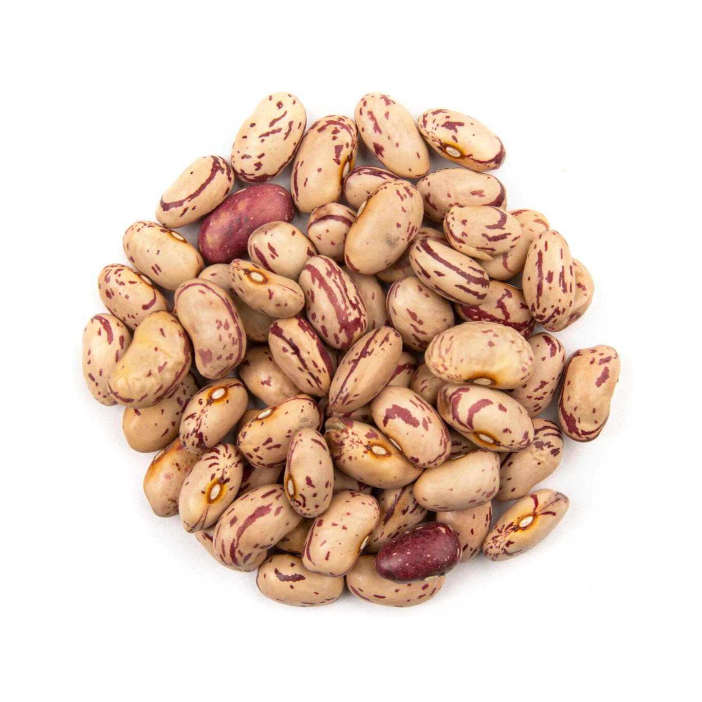 Cranberry Beans